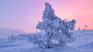 Картинка природа зима кольский полуостров мурманская область