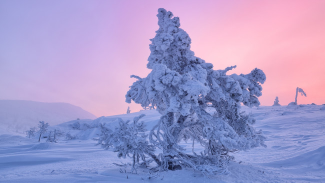 Обои картинки фото природа, зима, кольский, полуостров, мурманская, область