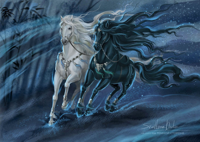 Обои картинки фото рисованное, животные,  лошади, лошади, пара, ночь