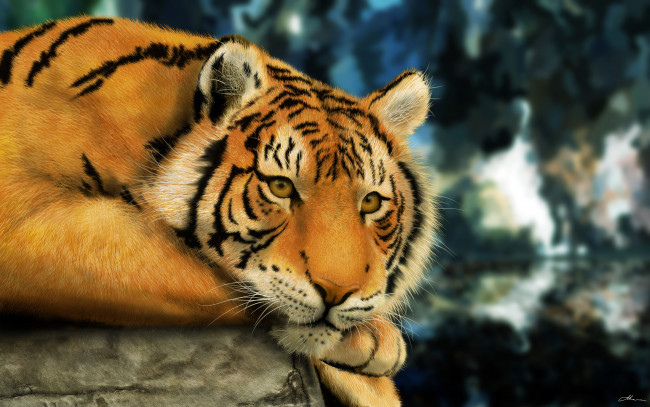 Обои картинки фото рисованные, животные, тигры, тигр, лежит, смотрит, морда, рисунок