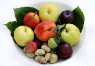 Картинка еда фрукты ягоды шелковица груши сливы яблоки