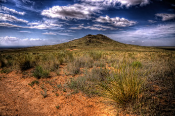 Картинка пейзаж природа пустыни растительность пустыня