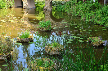 Картинка природа реки озера мост водоём растительность