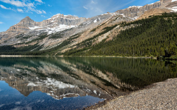Картинка banff national park природа реки озера озеро горы лес