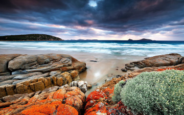 Картинка природа побережье камни пляж цветы волны тучи океан