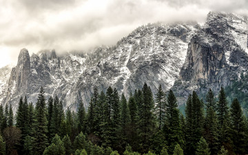 Картинка yosemite national park california природа горы калифорния деревья йосемити