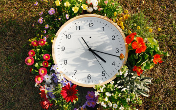 Картинка разное Часы часовые механизмы стрелки циферблат цветы