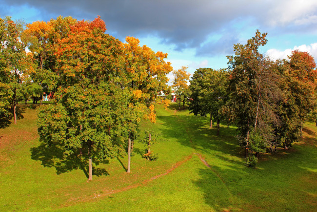 Обои картинки фото осень, царицыно, природа, деревья, пейзаж