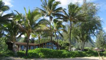 Картинка дом природа пейзажи пальмы лето пляж