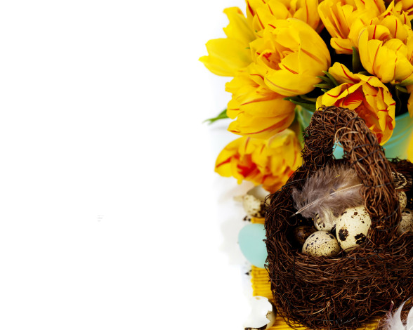 Обои картинки фото праздничные, пасха, тюльпаны, корзинка, яйца