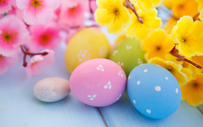Обои картинки фото праздничные, пасха, easter, eggs, flowers, spring, яйца, цветы