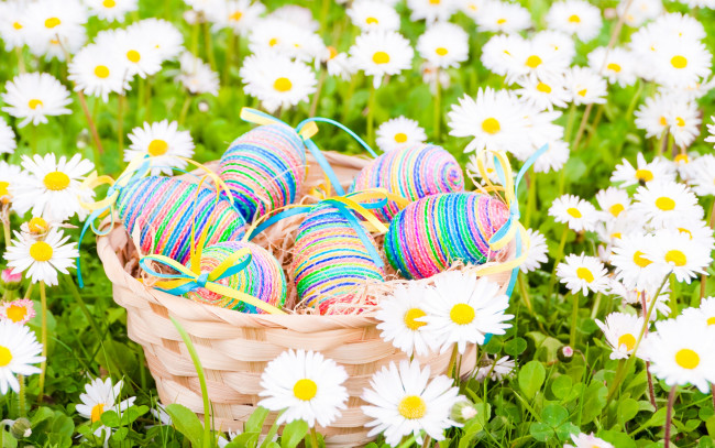 Обои картинки фото праздничные, пасха, easter, eggs, flowers, spring, яйца, цветы, ромашки, поле