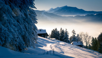 Картинка природа зима снег горы