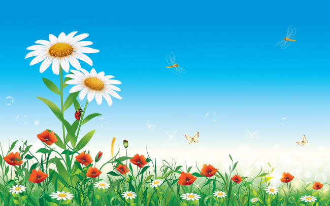 Обои картинки фото векторная графика, цветы , flowers, природа, вектор, цветы, ромашки, лето, насекомые, небо
