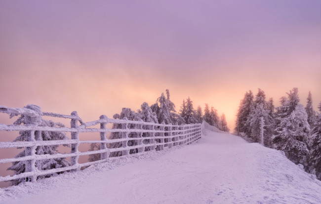 Обои картинки фото природа, зима, забор, дорога, снег