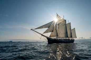 Картинка корабли парусники rembrandt van трехмачтовая шхуна oceanwide expeditions
