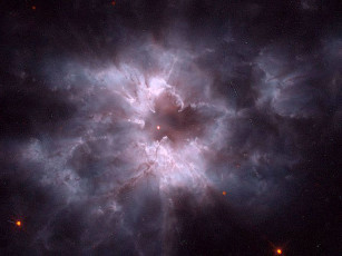 Картинка ngc 2440 новый белый карлик космос звезды созвездия