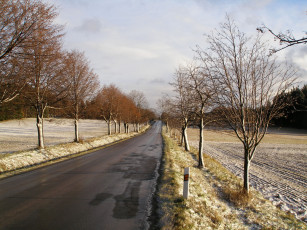 обоя природа, дороги, дорога, деревья, снег
