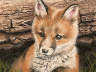 Картинка рисованные животные лисы лисенок