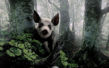 Картинка животные свиньи кабаны лес деревья
