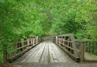 Картинка природа дороги пейзаж деревья мост дорога