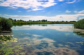 Картинка венгрия озеро тиса природа реки озера