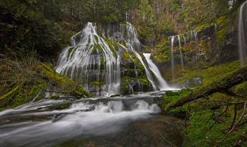 Картинка природа водопады пейзаж лес водопад река мох