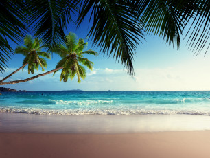 Картинка природа тропики небо солнце море берег пальмы sea tropical paradise sunshine beach coast песок пляж vacation sand summer palm blue emerald ocean sky океан