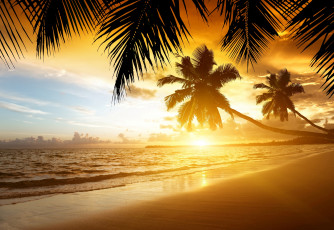 Картинка природа тропики закат пальмы берег море песок пляж sand summer palm ocean sea coast beach paradise sunset tropical