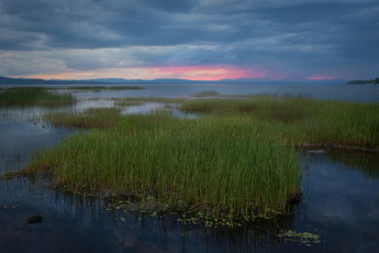 Картинка природа побережье тучи небо синее закат вечер камыш трава берег озеро вермонт сша