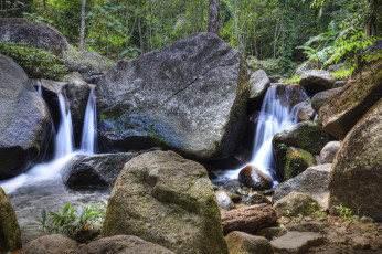 Картинка природа водопады речка валуны джунгли