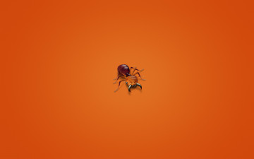 Картинка рисованные минимализм муравей насекомое красноватый фон ant