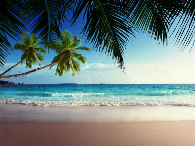 Обои картинки фото природа, тропики, небо, солнце, море, берег, пальмы, sea, tropical, paradise, sunshine, beach, coast, песок, пляж, vacation, sand, summer, palm, blue, emerald, ocean, sky, океан