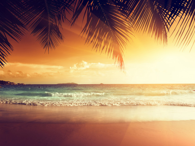 Обои картинки фото природа, тропики, tropical, sunset, берег, пальмы, закат, море, песок, palm, summer, sand, пляж, coast, beach, paradise, ocean, sea