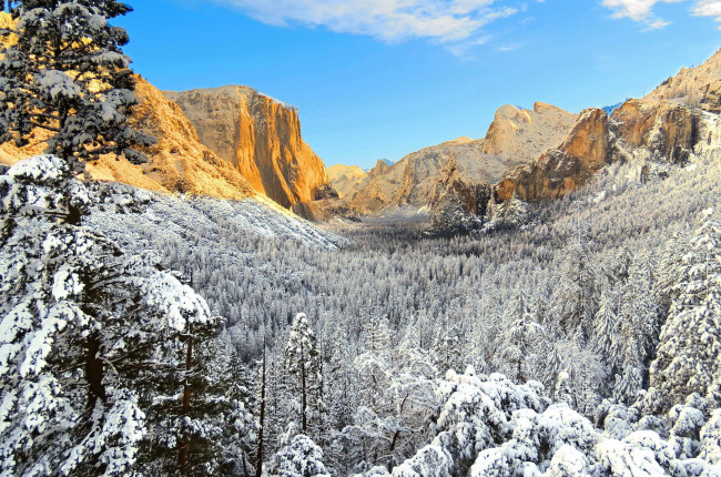 Обои картинки фото природа, зима, yosemite, national, park, национальный, парк, йосемити, сша, калифорния