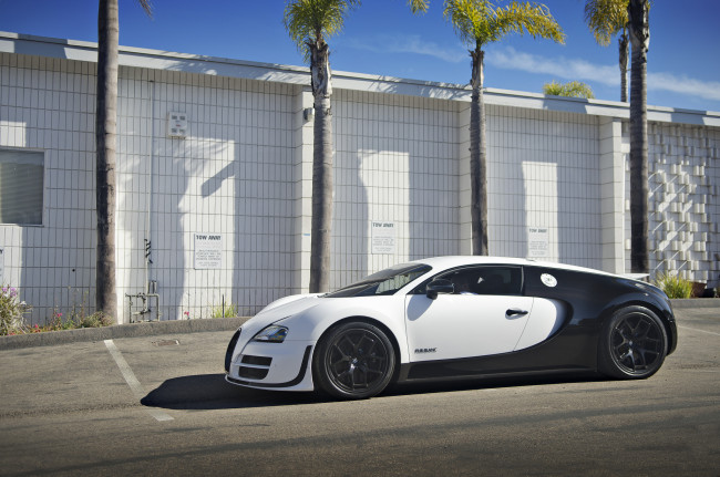 Обои картинки фото bugatti veyron pur blanc, автомобили, bugatti, a, s, automobiles, франция, класс-люкс, спортивные