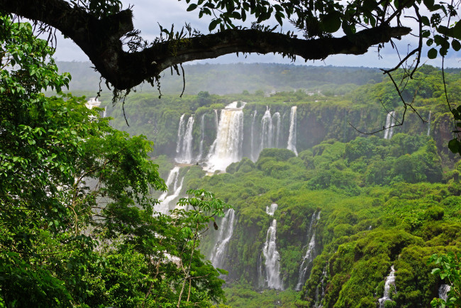 Обои картинки фото бразилия  водопад iguazu, природа, водопады, iguazu, водопад, бразилия