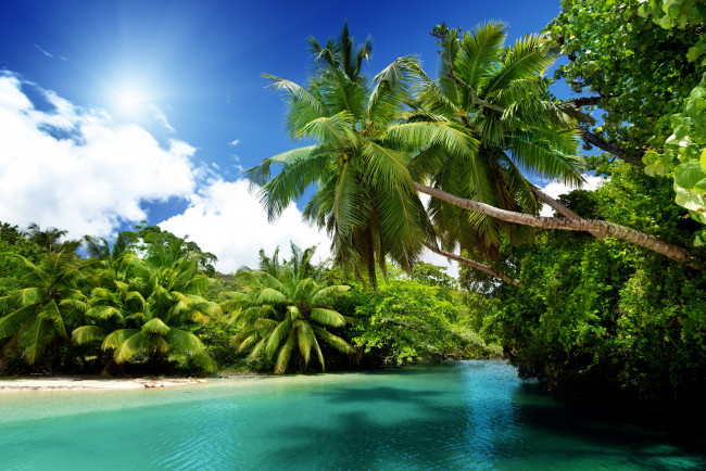 Обои картинки фото природа, тропики, солнце, море, sea, blue, emerald, ocean, palms, summer, vacation, пальмы, океан, beach, paradise, tropical
