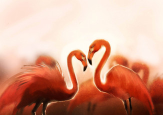 обоя рисованное, животные, птицы, flamingo