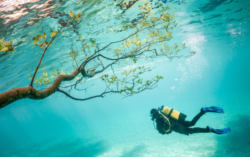 Картинка diving спорт -+другое подводное плавание море погружение