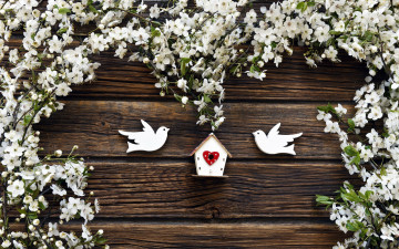 Картинка праздничные день+святого+валентина +сердечки +любовь ветки цветущие голуби гнездо