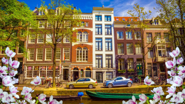 обоя города, амстердам , нидерланды, весна, магнолия