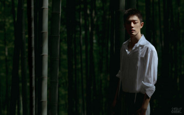 Картинка мужчины xiao+zhan актер рубашка лес бамбук