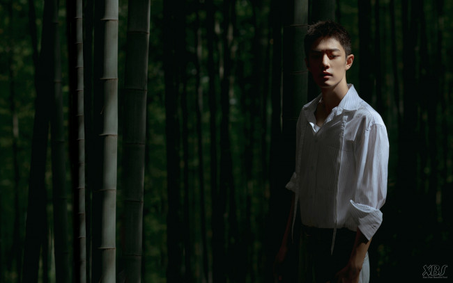 Обои картинки фото мужчины, xiao zhan, актер, рубашка, лес, бамбук
