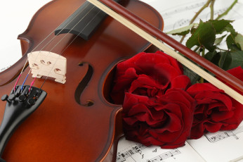 обоя музыка, -музыкальные инструменты, скрипка, смычок, розы