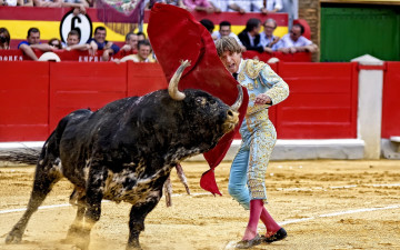 Картинка мужчины -unsort тореадор бык испания кoррида массовое зрелище