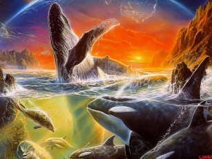 Картинка рисованные животные косатка дельфин
