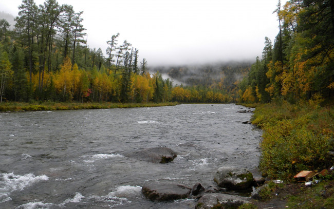 Обои картинки фото природа, реки, озера, камни, туман, река, деревья