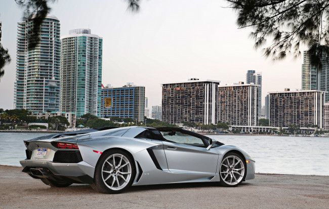 Обои картинки фото 2012, lamborghini, aventador, lp700, roadster, автомобили