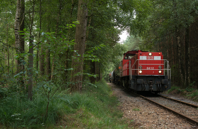 Обои картинки фото техника, поезда, лес, поезд, рельсы, грузовой
